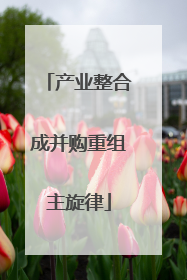 产业整合成并购重组主旋律